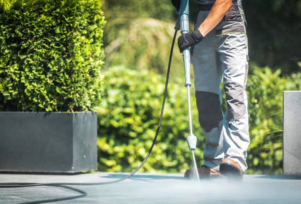 Best Roof Cleaning and Mildew Removal in USA