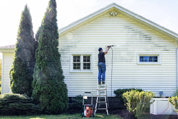 Best Vinyl Siding Pressure Washing in USA